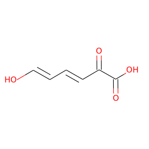 2-Hydroxymuconic semialdehyde